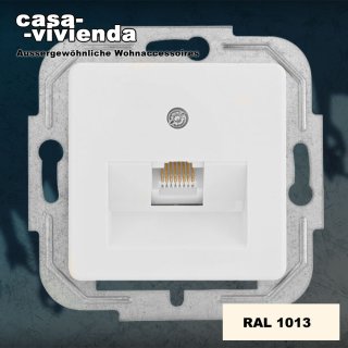 Daten u. Telefondose RJ45, schräg, 1-fach, Zentralplatte 50 x 50 mm - DIN49075 - Weiß RAL1013